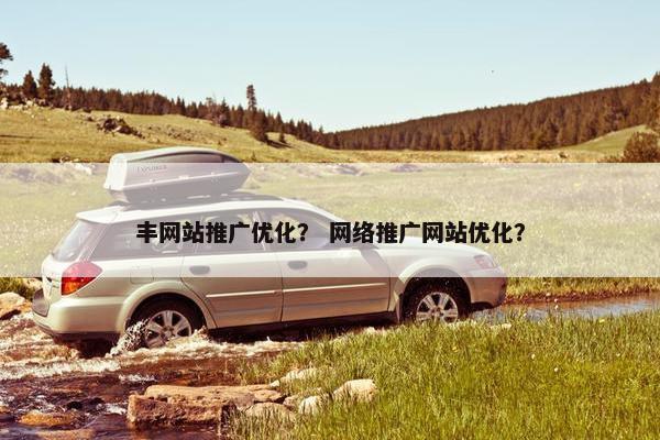 丰网站推广优化？ 网络推广网站优化？