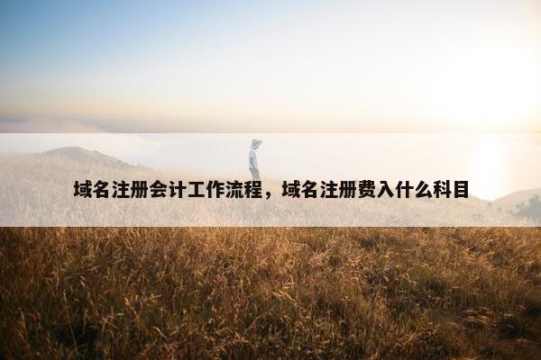 域名注册会计工作流程，域名注册费入什么科目