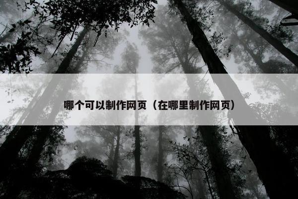 哪个可以制作网页（在哪里制作网页）