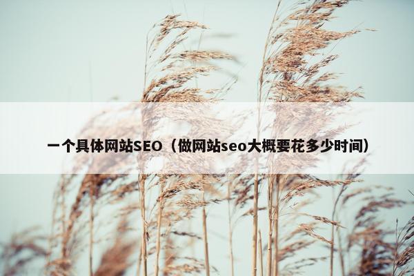 一个具体网站SEO（做网站seo大概要花多少时间）