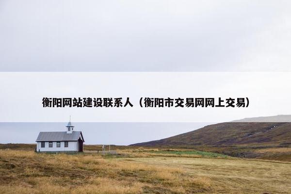 衡阳网站建设联系人（衡阳市交易网网上交易）