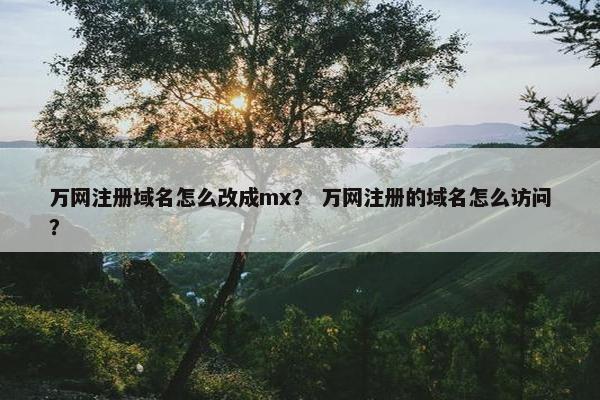 万网注册域名怎么改成mx？ 万网注册的域名怎么访问？