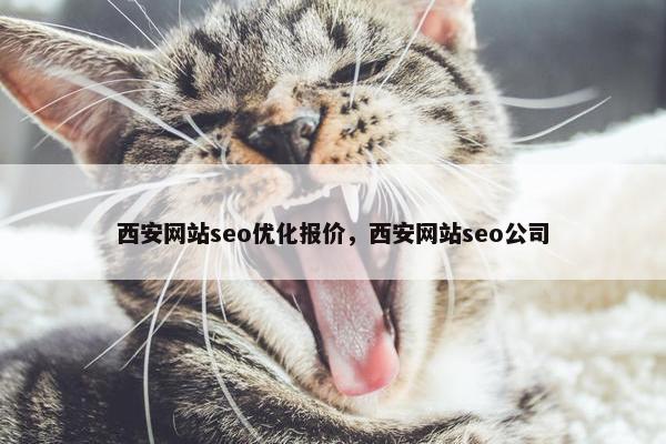 西安网站seo优化报价，西安网站seo公司