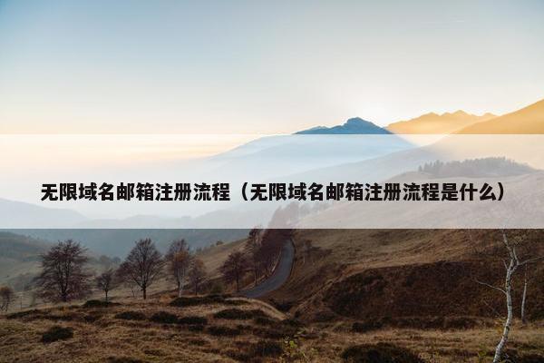 无限域名邮箱注册流程（无限域名邮箱注册流程是什么）