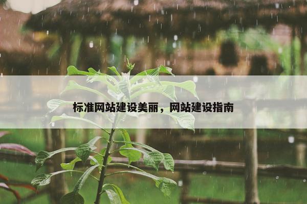 标准网站建设美丽，网站建设指南