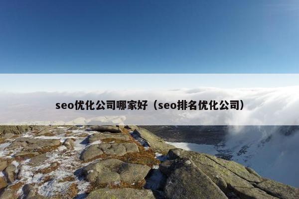 seo优化公司哪家好（seo排名优化公司）