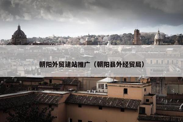 朝阳外贸建站推广（朝阳县外经贸局）