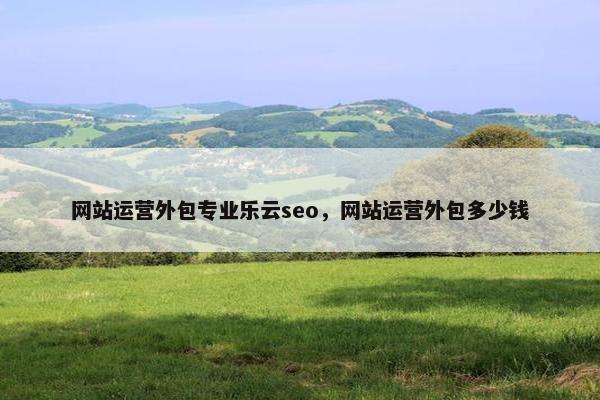 网站运营外包专业乐云seo，网站运营外包多少钱
