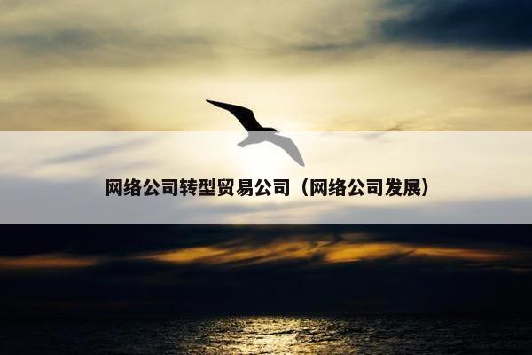 网络公司转型贸易公司（网络公司发展）