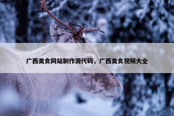 广西美食网站制作源代码，广西美食视频大全
