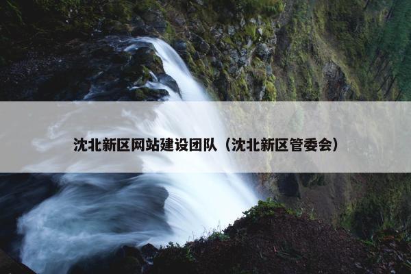 沈北新区网站建设团队（沈北新区管委会）