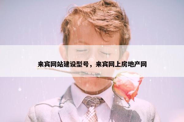 来宾网站建设型号，来宾网上房地产网