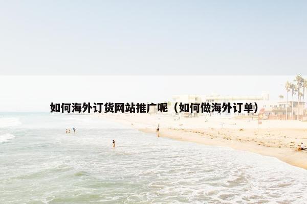 如何海外订货网站推广呢（如何做海外订单）