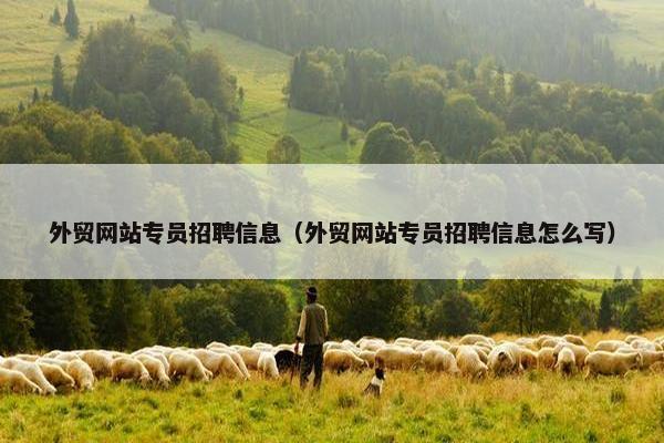 外贸网站专员招聘信息（外贸网站专员招聘信息怎么写）