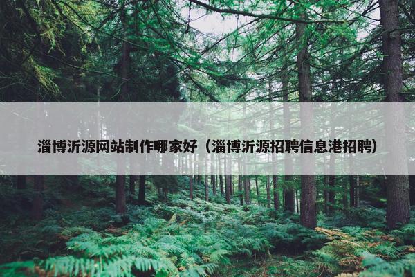 淄博沂源网站制作哪家好（淄博沂源招聘信息港招聘）