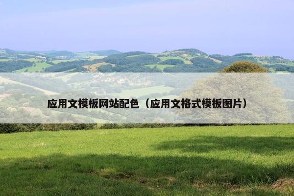 应用文模板网站配色（应用文格式模板图片）