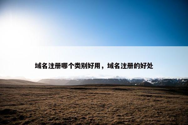 域名注册哪个类别好用，域名注册的好处