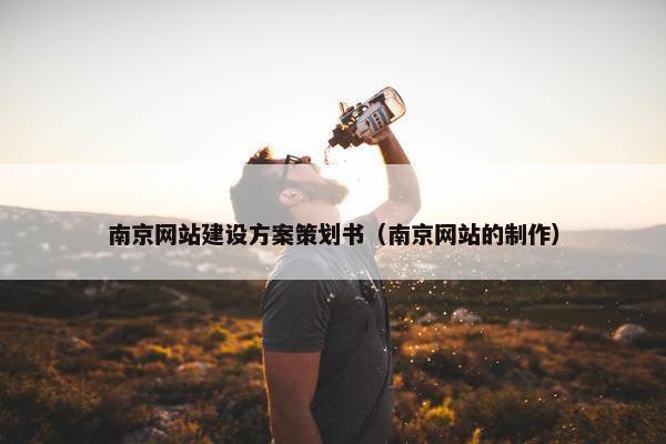 南京网站建设方案策划书（南京网站的制作）