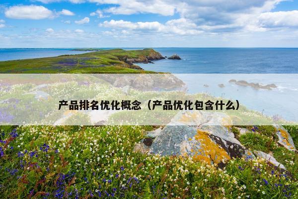 产品排名优化概念（产品优化包含什么）