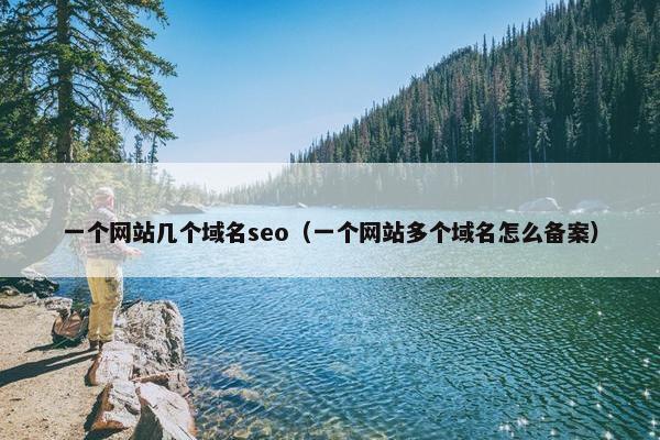 一个网站几个域名seo（一个网站多个域名怎么备案）