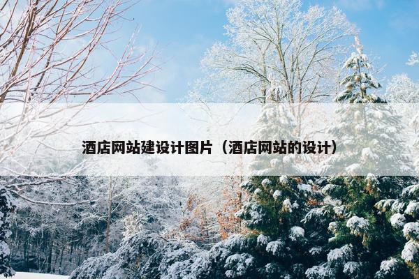 酒店网站建设计图片（酒店网站的设计）