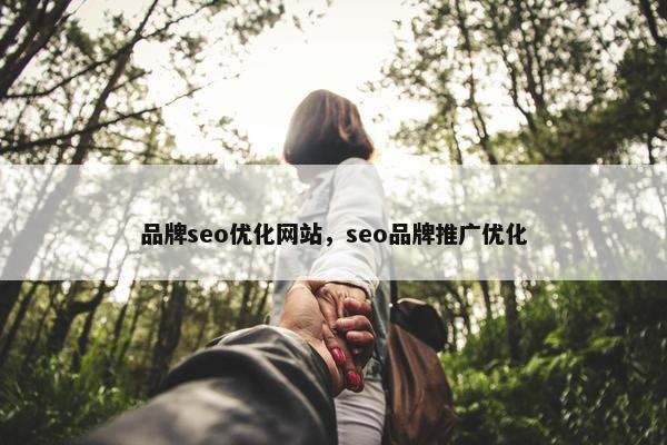 品牌seo优化网站，seo品牌推广优化