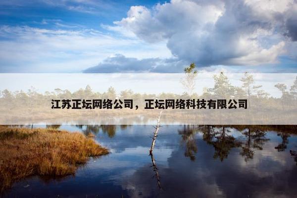 江苏正坛网络公司，正坛网络科技有限公司