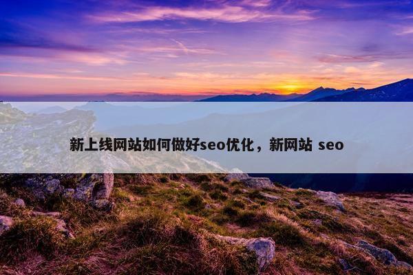 新上线网站如何做好seo优化，新网站 seo
