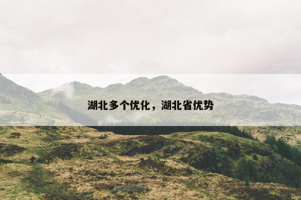 湖北多个优化，湖北省优势