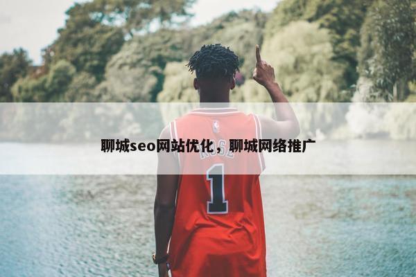 聊城seo网站优化，聊城网络推广