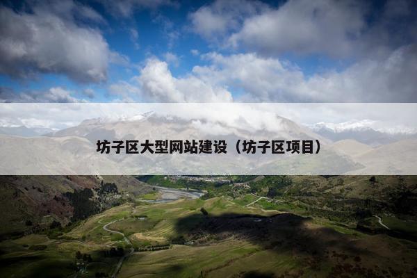 坊子区大型网站建设（坊子区项目）