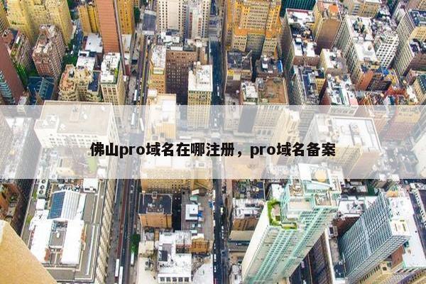 佛山pro域名在哪注册，pro域名备案