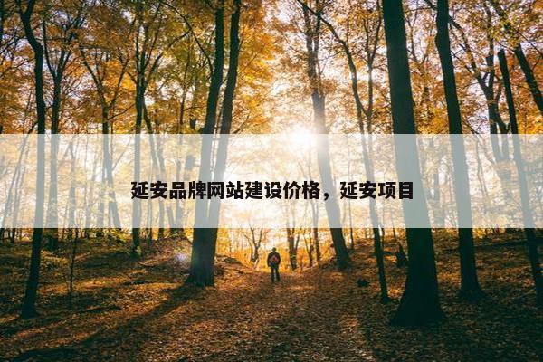 延安品牌网站建设价格，延安项目