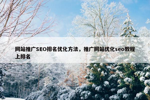 网站推广SEO排名优化方法，推广网站优化seo教程上排名