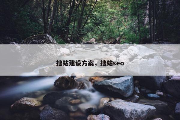 搜站建设方案，搜站seo