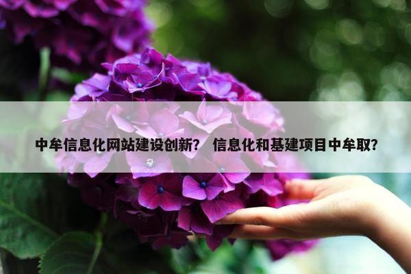 中牟信息化网站建设创新？ 信息化和基建项目中牟取？