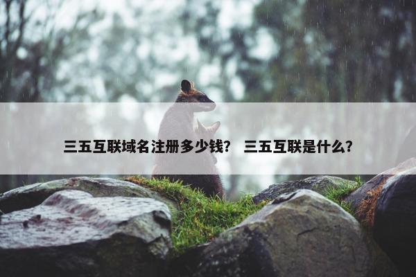 三五互联域名注册多少钱？ 三五互联是什么？