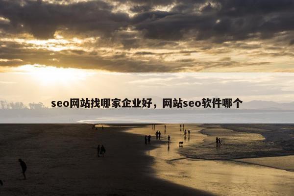 seo网站找哪家企业好，网站seo软件哪个