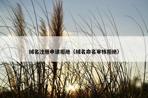 域名注册申请拒绝（域名命名审核拒绝）