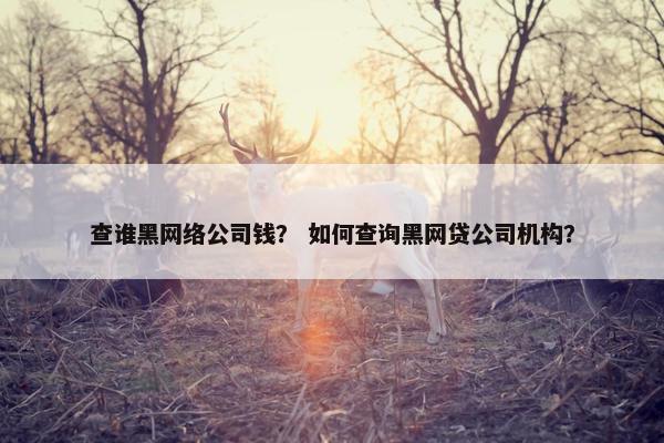 查谁黑网络公司钱？ 如何查询黑网贷公司机构？