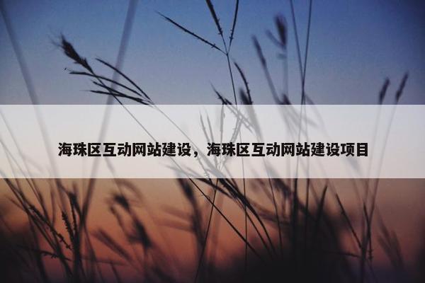 海珠区互动网站建设，海珠区互动网站建设项目