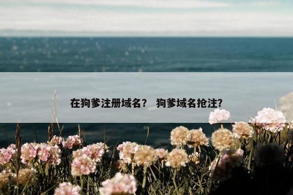 在狗爹注册域名？ 狗爹域名抢注？