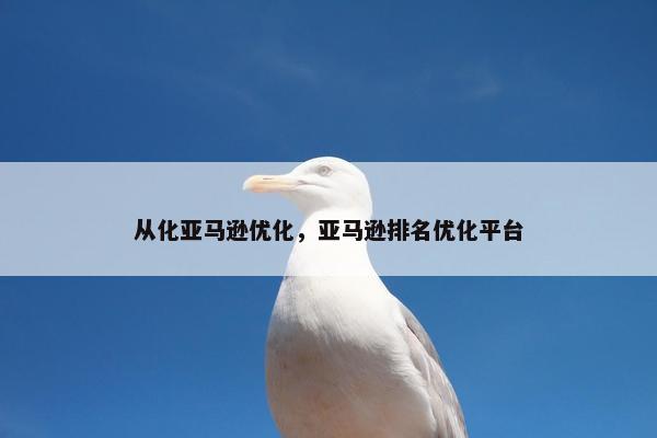 从化亚马逊优化，亚马逊排名优化平台