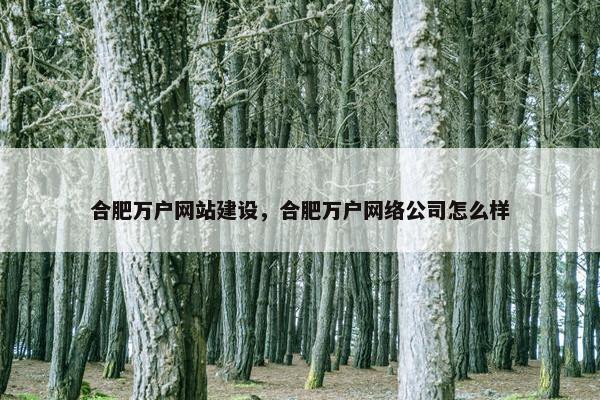 合肥万户网站建设，合肥万户网络公司怎么样