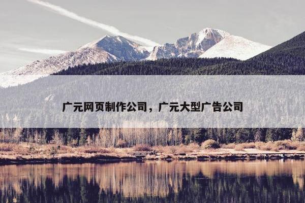 广元网页制作公司，广元大型广告公司