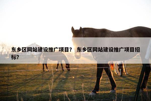 东乡区网站建设推广项目？ 东乡区网站建设推广项目招标？