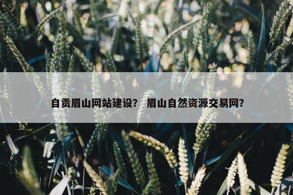 自贡眉山网站建设？ 眉山自然资源交易网？