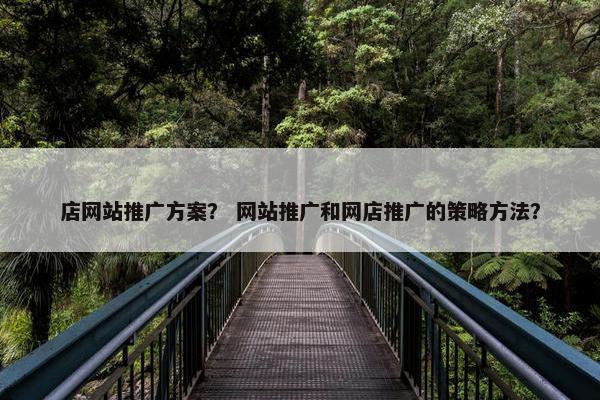 店网站推广方案？ 网站推广和网店推广的策略方法？