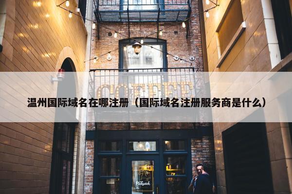 温州国际域名在哪注册（国际域名注册服务商是什么）