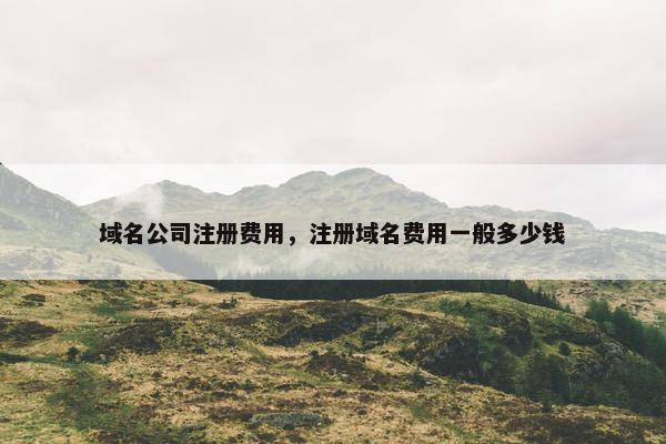 域名公司注册费用，注册域名费用一般多少钱